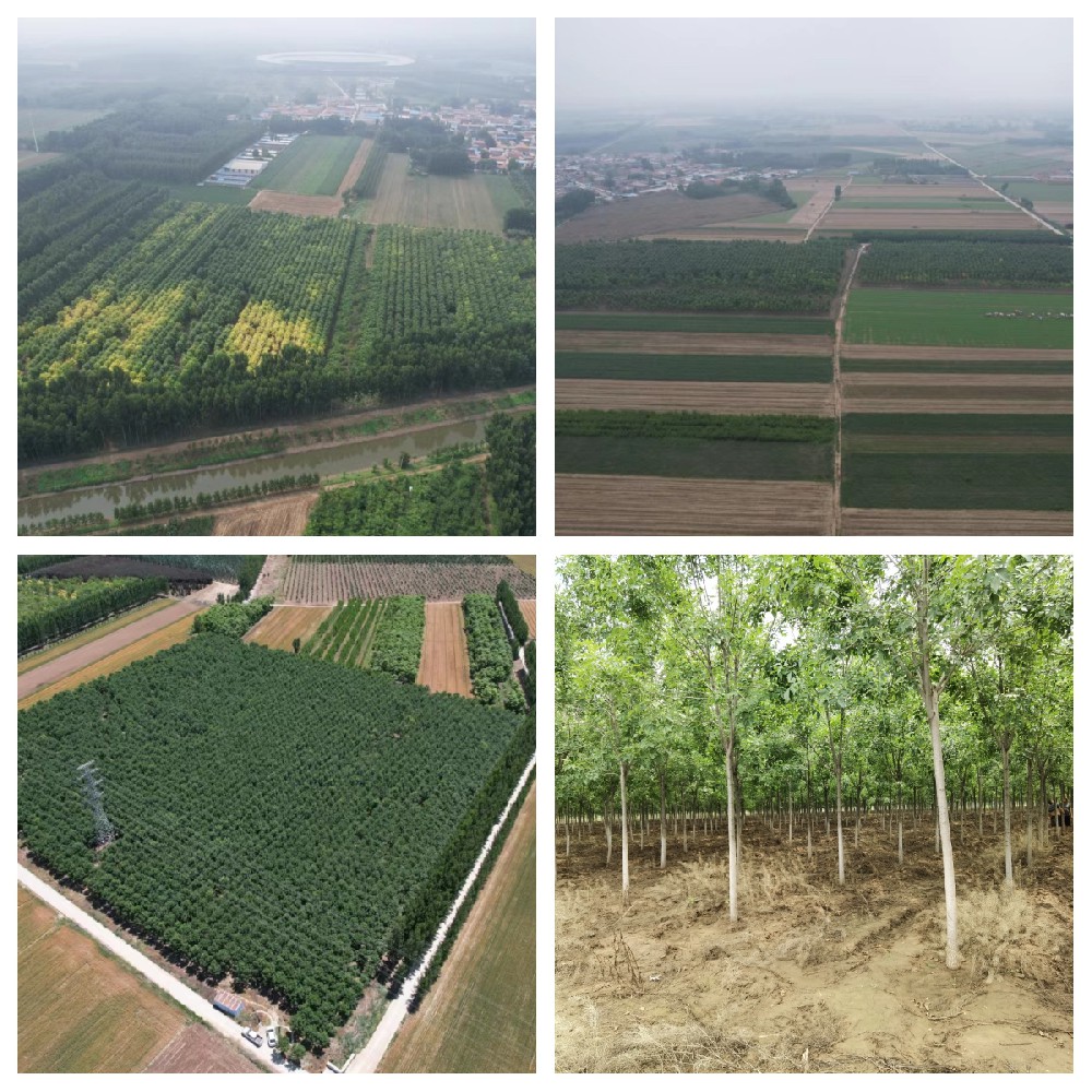 地拓農業科技發展公司